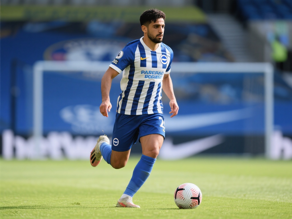 核心外援费 核心外援费